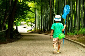 夏休みの思い出