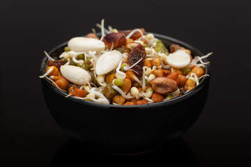 Close-up of A mix of organic sprout seeds sprouting ( germinating) in black ceramic bowl in the studio