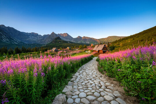 Fototapeta Beautiful summer day in the mountains - Hala Gasienicowa in Poland - Tatras