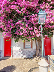 Beautiful pink flowers in front of two red doors and a street light