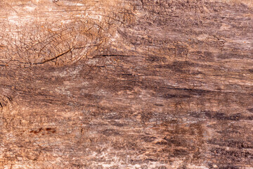 Wood texture with natural pattern. Background of old wooden boards.