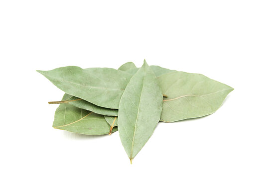 Dried bay leaf isolated on the white background. Top view.