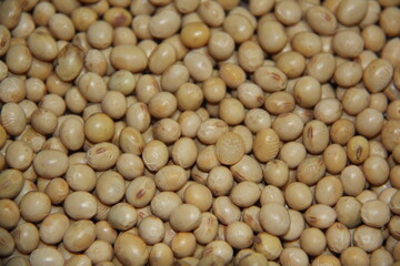 Full frame of soy beans (Glycine max).