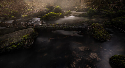 Gloomy stream in forest with mossy stones in early morning