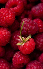 Raspberry berry background.Background of macro berries of ripe and juicy raspberries