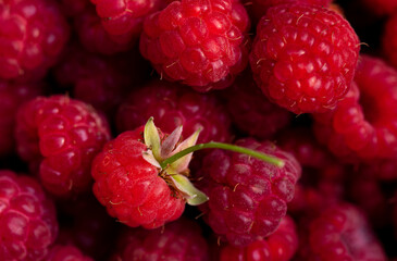 Background of macro berries of ripe and juicy raspberries