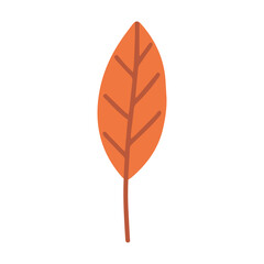 Autumn leaf vector isolated on white background