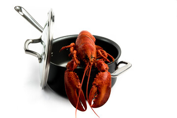 Lobsters in a black cooking pot with corn and lemons on a white background