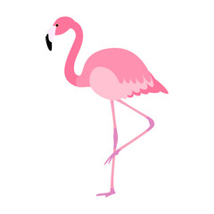 Cute pink flamingo balancing on one leg