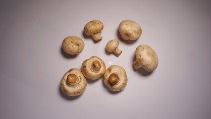 champignon mushrooms on a white background