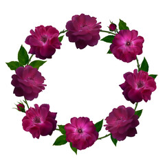 Roses. Flowers. Floral background. Rose wreath. Leaves. Burgundy.