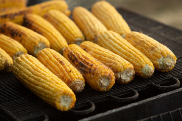 Fresh roasted or grilled corncobs. Grilled Corn for sale on the street.