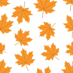 Autumn pattern with colorful maple leaves on a white backgroun