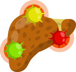 Bad liver. Attack germs and cirrhosis of the liver. Health problem