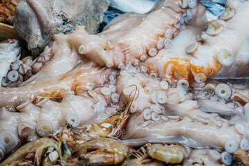 Fresh raw seafood photographed at the fish market.