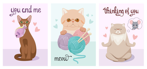 A set of postcards with funny cats. Cartoon design.
