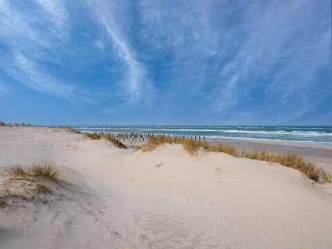 Duinen bij Petten || Dunes near Petten, North Holland province, The Netherlands