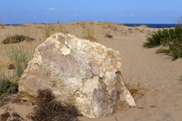 Fototapeta na wymiar Stones and shells on the shores of the Mediterranean Sea.