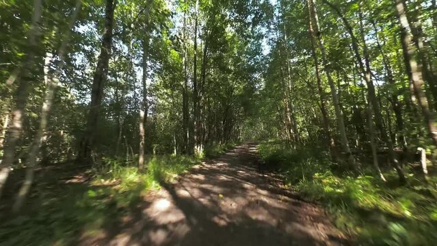 Fast FPV flight over shady forest road with patches of sunlight. First person fast camera movement over forest footpath