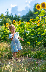 A child in a field of sunflowers. Ukraine. Selective focus.