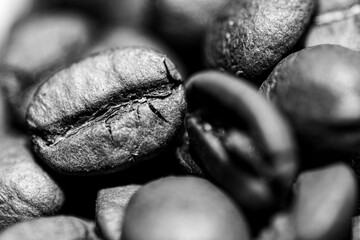 Coffee Bean Black and White