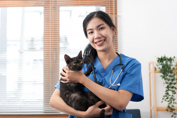 Veterinarian woman in blue uniform is playing with a lovely cat to hugging and stroking while working