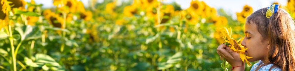 A child in a field of sunflowers. Ukraine. Selective focus.