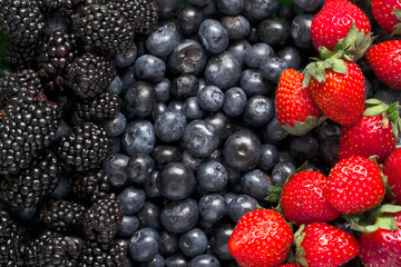 Background of fresh and juicy strawberries, blackberries, blueberries.Seasonal products.