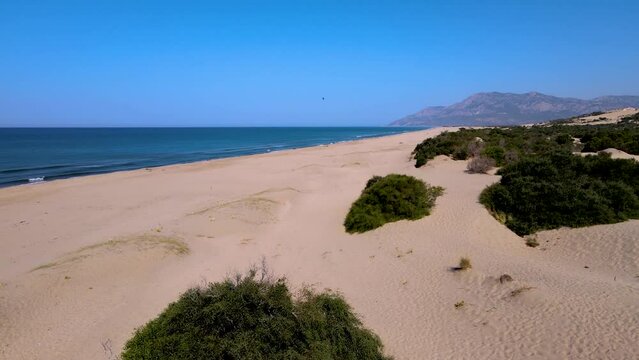 Aerial footage in Patara Beach longest sand beach in Turkey camera moves forward over short trees in the 
 beach to the sea and horizon (Patara is old city and Lycian Capital) no people summer sunny
