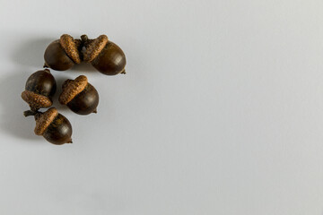 Acorns stacked on a white background, autumn composition.