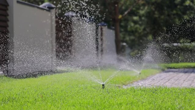 Automatic watering of a green lawn of a private house. Small drops of water glisten on a sunny day. Garden Irrigation sprinkler watering lawn.