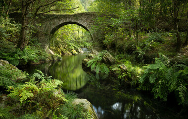 Ancient Roman bridge over the Polea river in Villayon, Asturias, Spain. Nature landscape, rural...