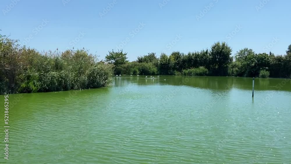 Canvas Prints Lac de la réserve naturelle de Lattes, Occitanie