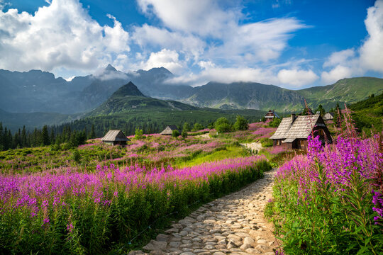 Beautiful summer day in the mountains - Hala Gasienicowa in Poland - Tatras