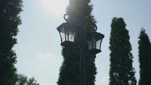 Shooting in the park of beautiful tui and a lantern in front of them. Shooting through the sun's rays in motion