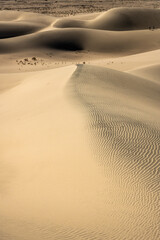 Two Hikers In The Distance On Panamint Dunes