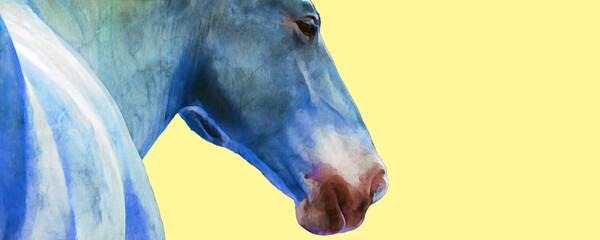 Close up digital watercolor portrait of a horse isolated on a yellow background © Patrick Rolands