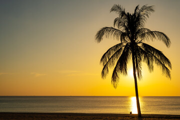 Beach sand sunset or sunrise with coconut palm tree