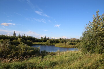 lake and forest, Pylypow Wetlands, Edmonton, Alberta
