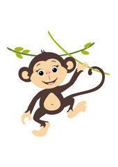 Happy smiling monkey hanging on a branch
