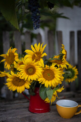 sunflowers in a red teapot