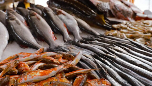 Fresh prawns, shrimps, garfish Fish - Belone belone, Mullus barbatus fish On Display On Ice On Fishermen Market Store Shop. Seafood Fish Background. The garfish Belone belone, also known as the