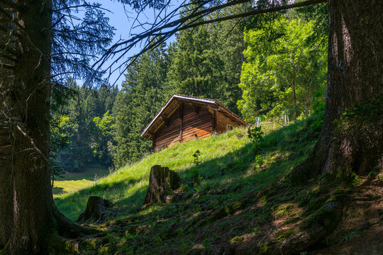Holzstadel, Scheune, Haus aus Holz am steilen Abhang in Adelboden. auf einer Waldlichtung in den schweizer Alpen steht ein altes Holzhaus, Stall oder Heulager, Blockhaus aus alter Zimmermannskunst.