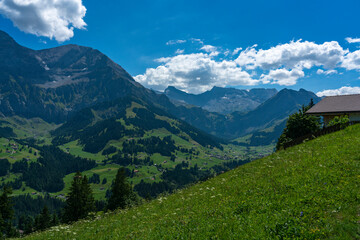 Obraz premium Adelboden im Panorama, Bergdorf mit vielen schönen und alten Holzhäusern, Bergwiesen, Wäldern und den hohen Bergen Grosser Lohner und Wildstrubel im Hintergrund. Streusiedlung im Engstligental. 