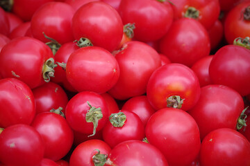 Fresh early girl tomatoes on display at a farmers market