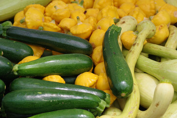 Fresh variety of squash on display at a farmers market
