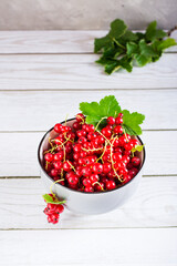 Fresh red currant berries in a bowl on the table. Summer organic food. Vertical view
