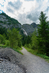 Fototapeta premium Wasserfall im Tal von Adelboden, weithin sichtbar über den Bäumen. Engstligenfälle am Talende. immer weniger Wasser kommt vom Gletscher auf der Engstligenalp den Wasserfall herunter