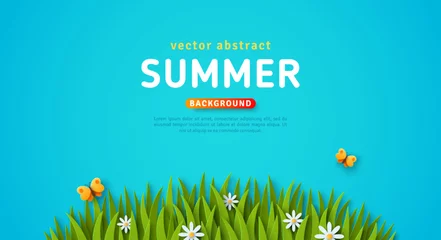 Foto op Canvas Summer spring background, butterfly, green grass lawn, white daisy. Vector illustration. Paper cut style. Place for text. Modern cartoon concept, village countryside scene, meadow landscape © kotoffei