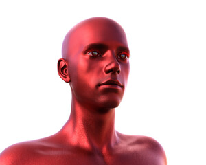 3D render. Portrait of a red bald man on a white background. 